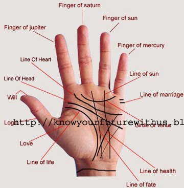 knowyourfuture: How Palmistry science inform you about money ...