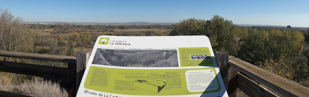 Camí de Sant Jaume de Compostela - Fuentes de Ebro a Saragossa, mirador de la Cartuja i Galacho de la Cartuja