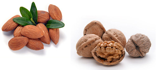 kacang almond dan kenari dapat membuat kulit indah dan tanpa celakacang almond dan kenari dapat membuat kulit indah dan tanpa cela