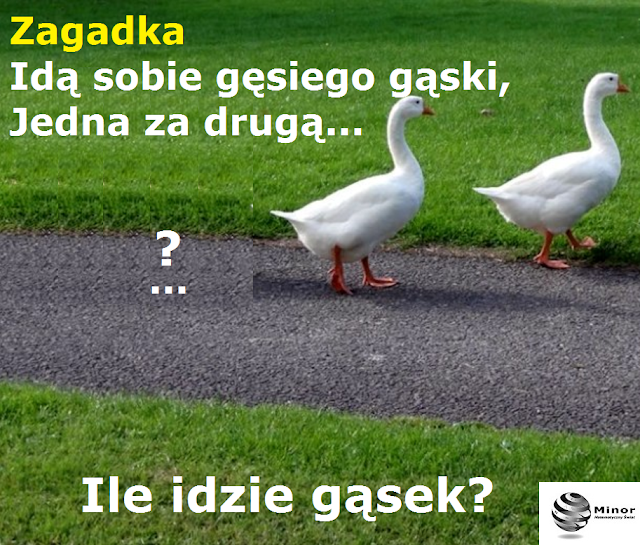 Idą sobie gęsiego gąski, Jedna za drugą... Ile idzie gąsek?