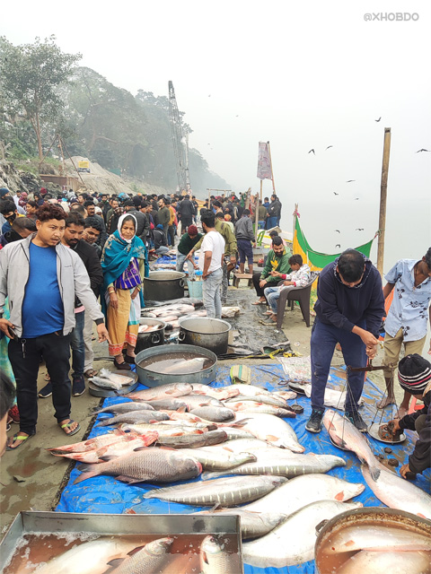 Uzan Bazaar Fish Market on the occasion of Uruka ( the eve of Bhogali Bihu- the annual Harvest Festival )