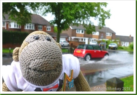 Puddle surfing in Bilbrook Puddle surfing in Bilbrook