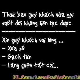   bao tri may tinh gia re