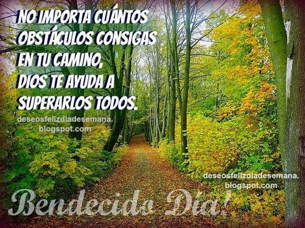 Puedes superar los obstáculos del Camino. Bendecido feliz día. Dios te ayuda a superar obstáculos. buenos deseos del miércoles, jueves, viernes, avanza supera obstáculos, dificultades, problemas. Imágenes cristianas, postales cristianas con mensajes, tarjetas cristianas.