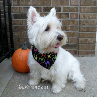 Howl-a-ween Cats Bandana style collar slipcover