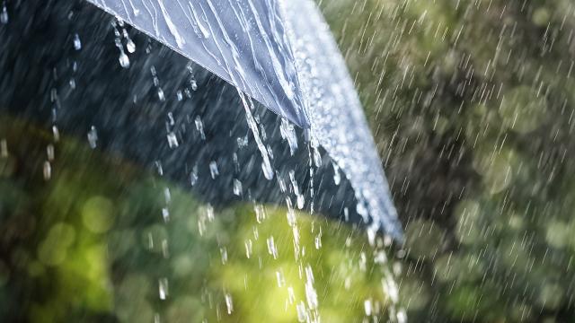 Edirne'de Sağnak Yağış Hayatı Olumsuz Etkiledi. 