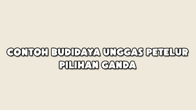 Contoh Soal Budidaya Unggas Petelur dan Jawabannya