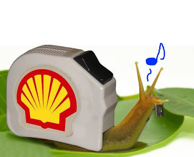 Funny Pictures: Shell