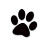 paw