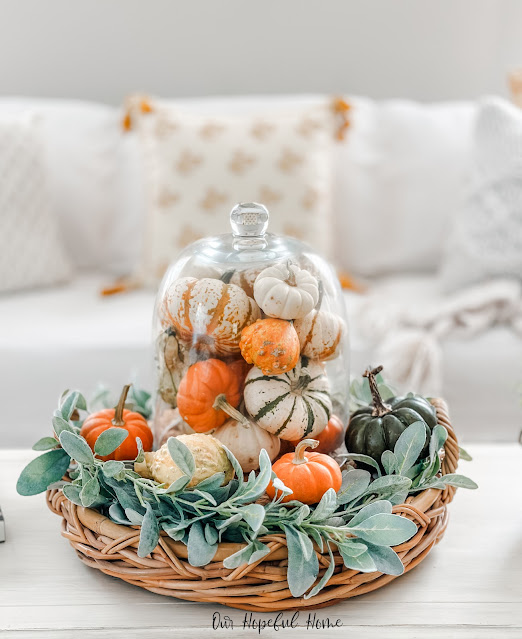 mini pumpkins and gourds in a glass cloche on coffee table
