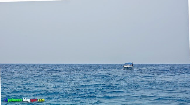 DSC07774
