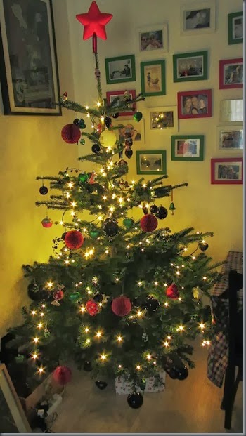 baum