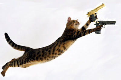 Funny Cats with Guns  2