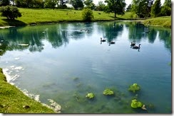 A pond that the graves overlook from the upper left.