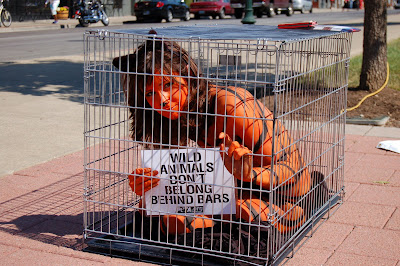 peta naked tiger Lindsay