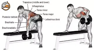 Top 5 Dumbbell Exercises For Building Strength