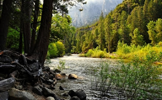 Nature River Flow