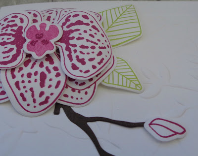 Craftyduckydoodah!, #stampinupuk, #lovemyjob, Climbing Orchid, SBTD Blog Hop, Stampin' Up! UK Independent  Demonstrator Susan Simpson, Supplies available 24/7 from my online store, 