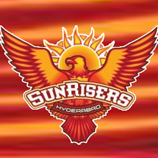 Sunrisers Hyderabad (SRH) Team & Squad Vivo IPL 2016 | List of all current players of Sunrisers Hyderabad (SRH) Squad for Vivo IPL 2016