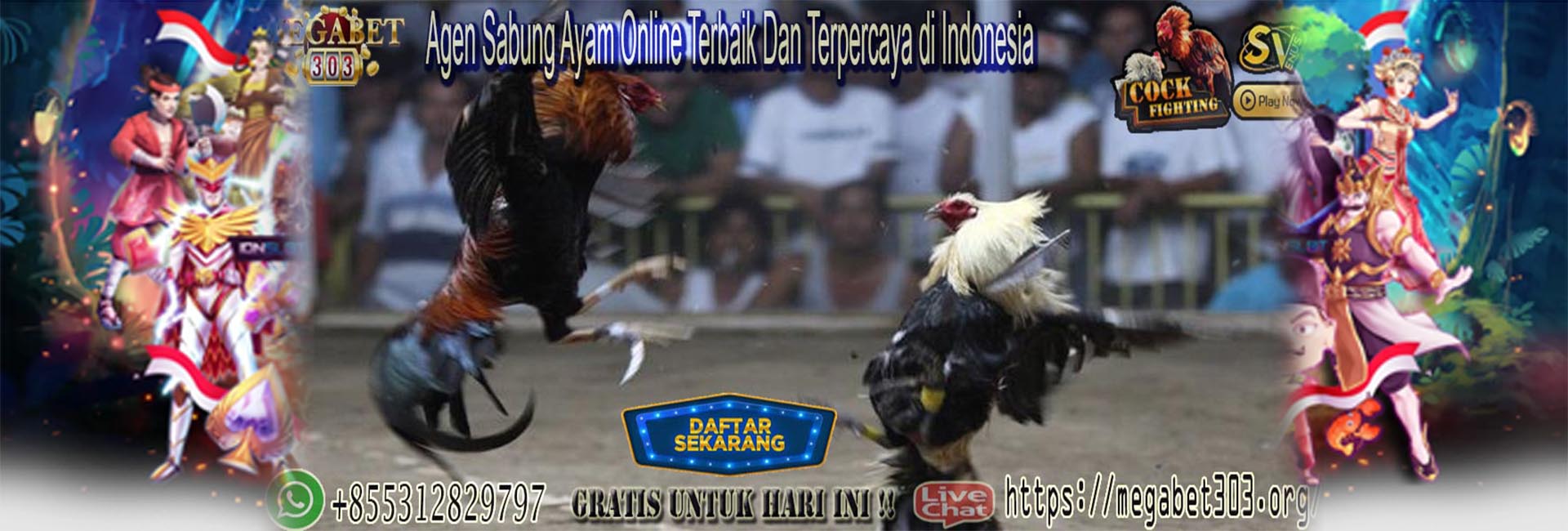  judi sabung ayam online 