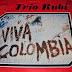 TRIO RUBI - EXITOS DE ORO