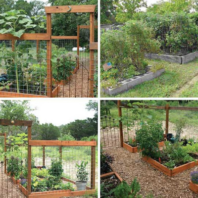 Square Foot Gardening on The Words  Square Foot Garden  Have Earned Buzzworthy Status  Lately