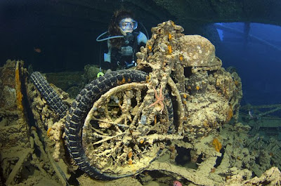 Alex Mustard's Ship Wrecks on Sea Bed  Seen On www.coolpicturegallery.us