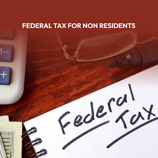 What is a US Federal Tax Return?