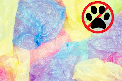 CAT HAZARDS The BBHQ List of The Top Ten Dangers Around The Home For Cats ©BionicBasil® Plastic Bags