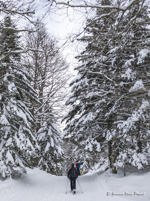 Raquetas de nieve en el bosque de Braca, La Pierre, por El Guisante Verde Project
