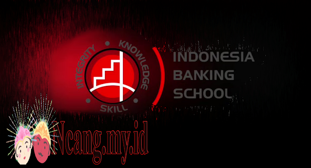 Indonesia Banking School, Apa Itu?