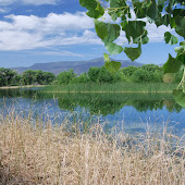 LAGOON LOOP