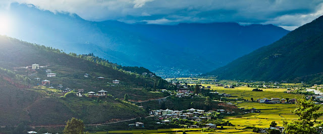 travel agency in jaigaon