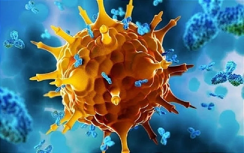 Las Células que combaten el virus de Epstein-Barr también combaten la Esclerosis Múltiple