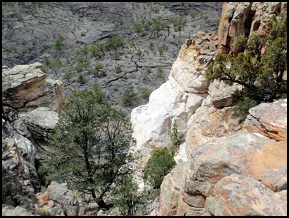 P4230358