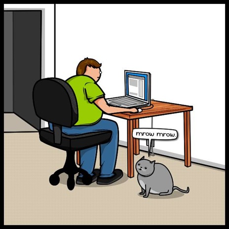cat vs internet