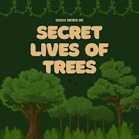 Exploring the Secret Lives of Trees How Plants Communicate, Learn, and Thrive