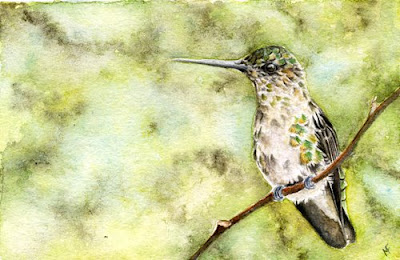 bird watercolor painting