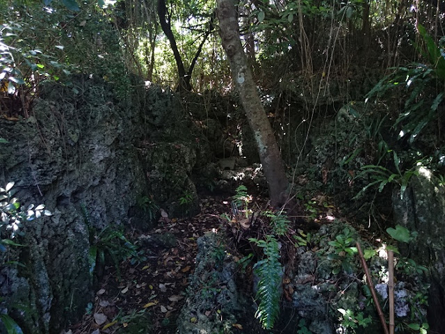 下川ブンギン兼城(下川権現)の写真