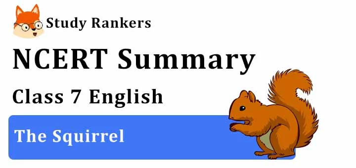 The Squirrel Poem Class 7 English Summary