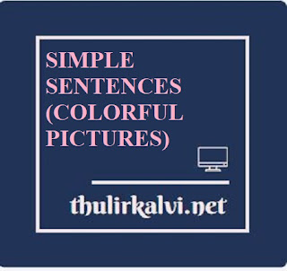 SIMPLE SENTENCES (COLORFUL PICTURES) 