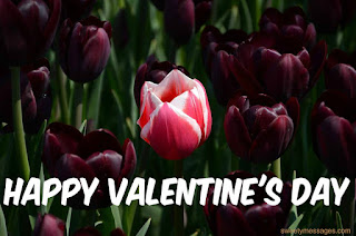 happy valentine day images for love