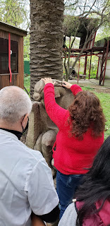 La alumna Sara recorre una escultura encorvada realizada en piedra.