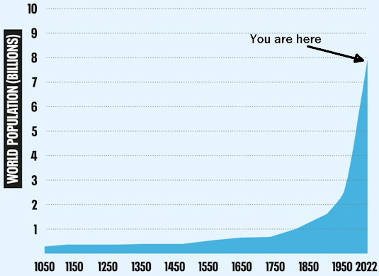 population bubble