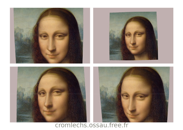 Mona Lisa : reconstruction faciale (hybridation) / Mona Lisa : facial reconstruction (hybridization) / Icons Media Studio