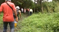 Caminata hacia el interior de la isla