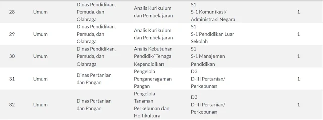 Pengumuman Pengadaan THL Pemkab Gunungkidul Besar-Besaran Tahun 2019