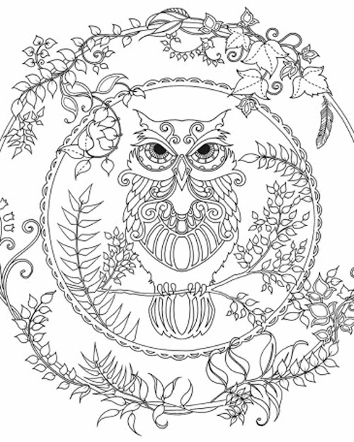 Owl Coloring Page Adult Coloring Club