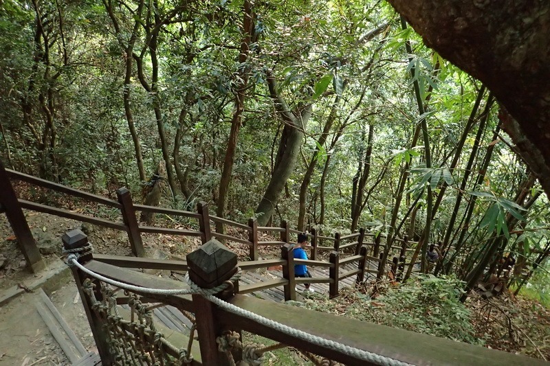 2014_1011 10號步道連走9-1號步道_002