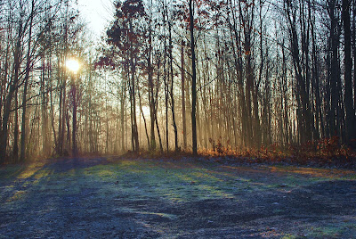 butler county woods